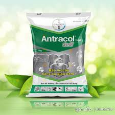 Antracol 70WP