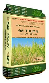 Lúa giống Đài Thơm 8