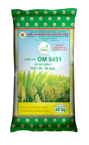 Lúa giống OM 5451