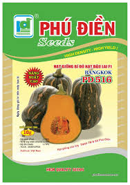 Hạt giống Bí đỏ F1